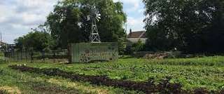 McQuesten Urban Farm – Bild 1