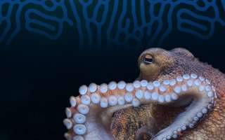 Aquazoo Löbbecke Museum Düsseldorf – Bild 2