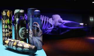 Aquazoo Löbbecke Museum Düsseldorf – Bild 3