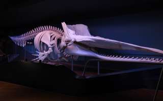 Aquazoo Löbbecke Museum Düsseldorf – Bild 4