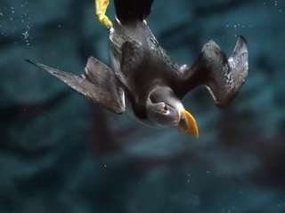 Aquazoo Löbbecke Museum Düsseldorf – Bild 5