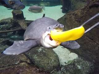 Aquazoo Löbbecke Museum Düsseldorf – Bild 6