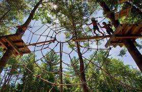 Ontree – Bild 1