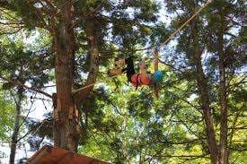Ontree – Bild 2