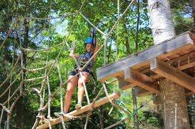 Ontree – Bild 3