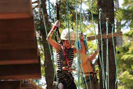 Ontree – Bild 5