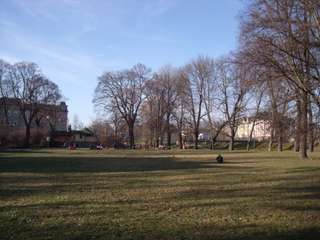 An der Spielwiese – Bild 1