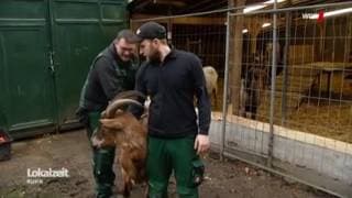 Tiergehege Wichteltal – Bild 3