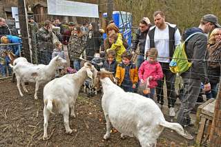 Tiergehege Wichteltal – Bild 4