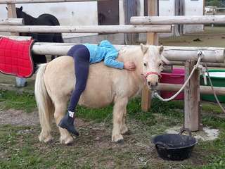 Ponyland Ennest – Bild 2