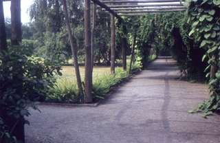 Park am Buschkrug – Bild 5