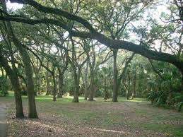 Huck Williams Park – Bild 6