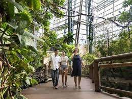 Wilder Institute/Calgary Zoo – Bild 1