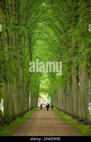 Französischer Garten – Bild 2