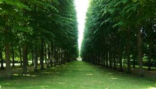 Französischer Garten – Bild 3