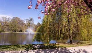 Französischer Garten – Bild 4