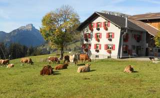 Ferien auf dem Bauernhof Schweiz – Bild 1