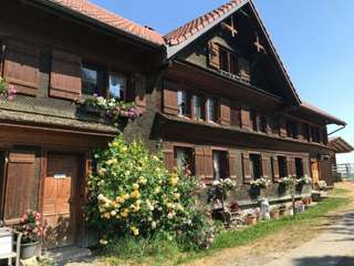 Ferien auf dem Bauernhof Schweiz – Bild 3