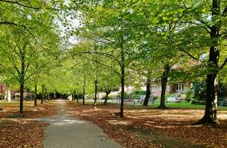 Familienwiese Gartenholz – Bild 6