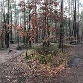 Waldspielplatz am Steinbrüchlein – Bild 5