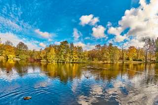 Stadtpark – Bild 3