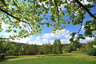 Stadtpark – Bild 6