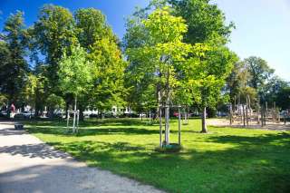 Baumschulwäldchen – Bild 3