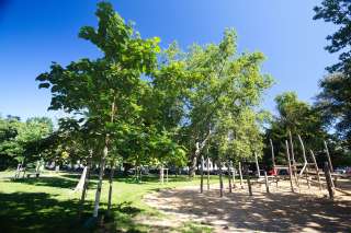 Baumschulwäldchen – Bild 4