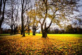 Stadtpark – Bild 2