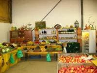 Bauer Greif Straßenverkauf – Bild 2