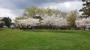 Sunnylea Park – Bild 6