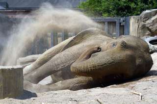 Zoo Krefeld gGmbH – Bild 1