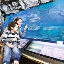 Sea Life Caverns – Bild 2