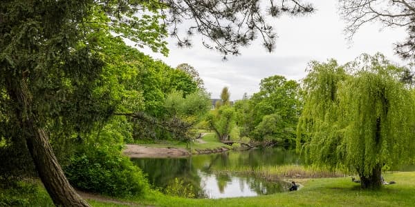 Schillerpark – Bild 1