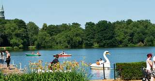 Schwanenteichpark Zwickau – Bild 3