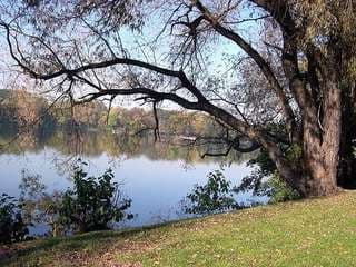 Schwanenteichpark Zwickau – Bild 6