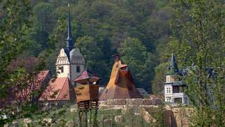 Spieloval Hofwiesenpark – Bild 5