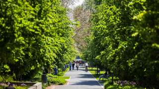 Spieloval Hofwiesenpark – Bild 6