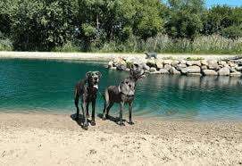 Summerside Dog Park – Bild 2