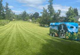 Summerside Dog Park – Bild 6