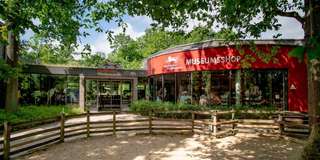 Allwetterzoo Münster – Bild 2