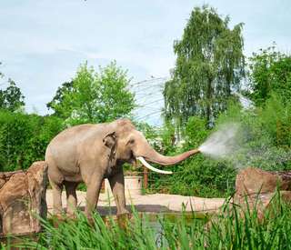 Allwetterzoo Münster – Bild 3