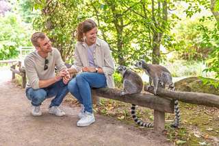 Allwetterzoo Münster – Bild 5