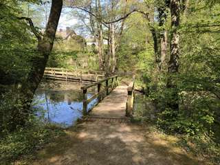 Rutsche am Zaubersee – Bild 3