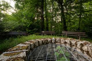 Rutsche am Zaubersee – Bild 4