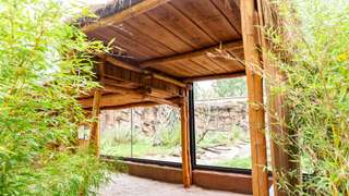 Affenhaus – Bild 1