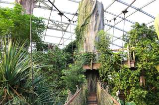 Gondwanaland – Bild 1