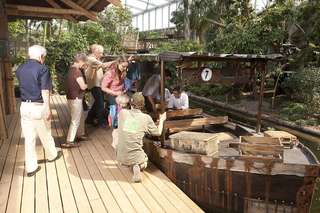 Gondwanaland – Bild 4