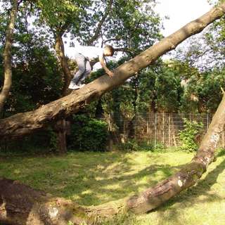 Bolzplatz Wildnis – Bild 3