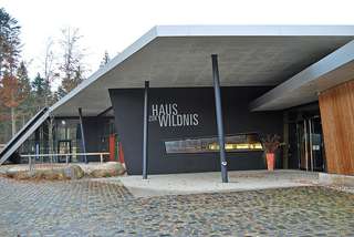 Bolzplatz Wildnis – Bild 4